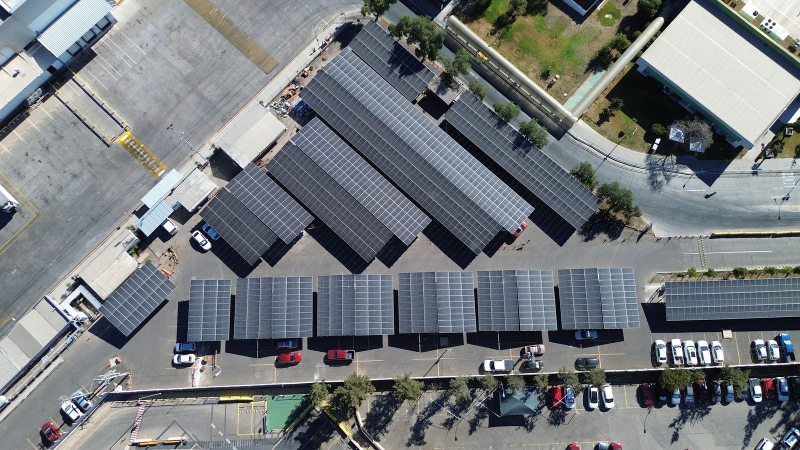 Energía solar para packing y cadena de frío en la agroindustria